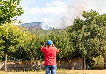 Extinguido el incendio de Ojacastro en el que se han quemado 11,5 hectáreas de arbolado