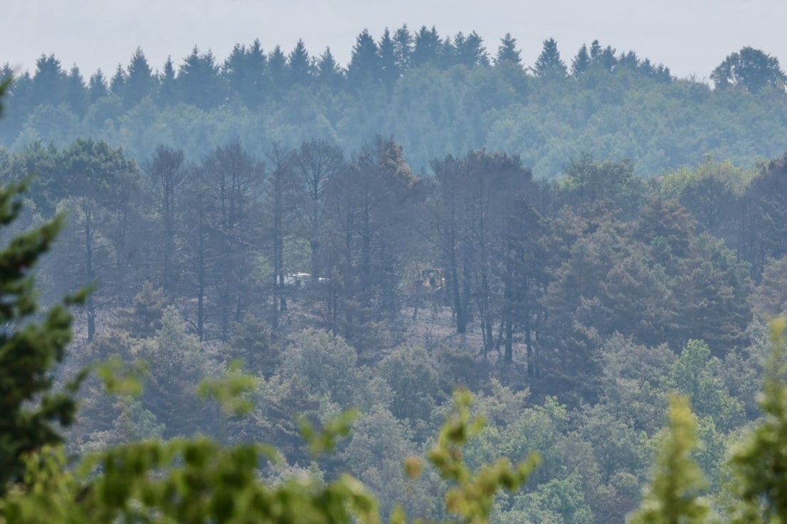Las imágenes del día después del incendio en Ojacastro