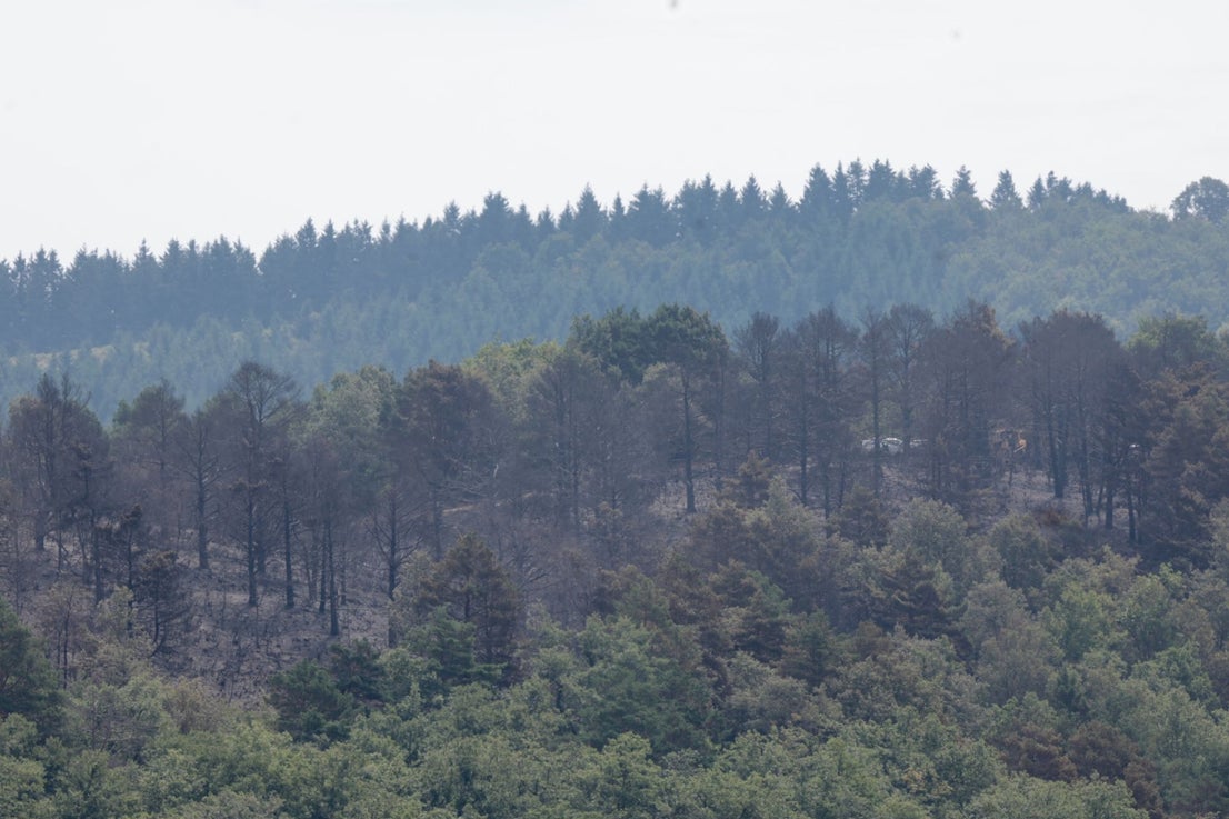 Las imágenes del día después del incendio en Ojacastro