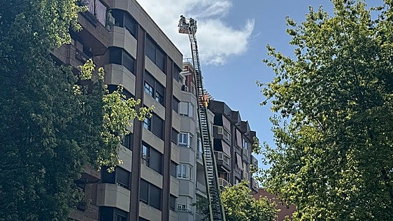 Los Bomberos de Logroño intervienen para rescatar a un gato del tejado de un edificio de Vara de Rey