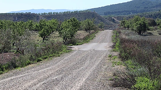 Arnedo lleva al Consejo Consultivo un requisito de la ayuda para arreglo de caminos