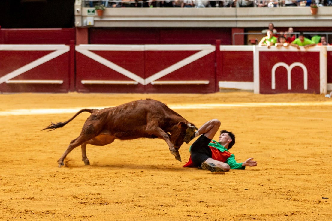 Caídas, revolcones y muchas risas durante las vaquillas