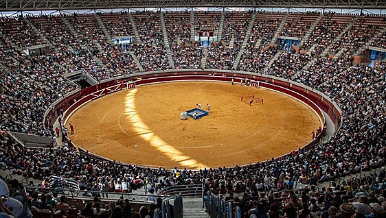 Caídas, revolcones y muchas risas durante las vaquillas