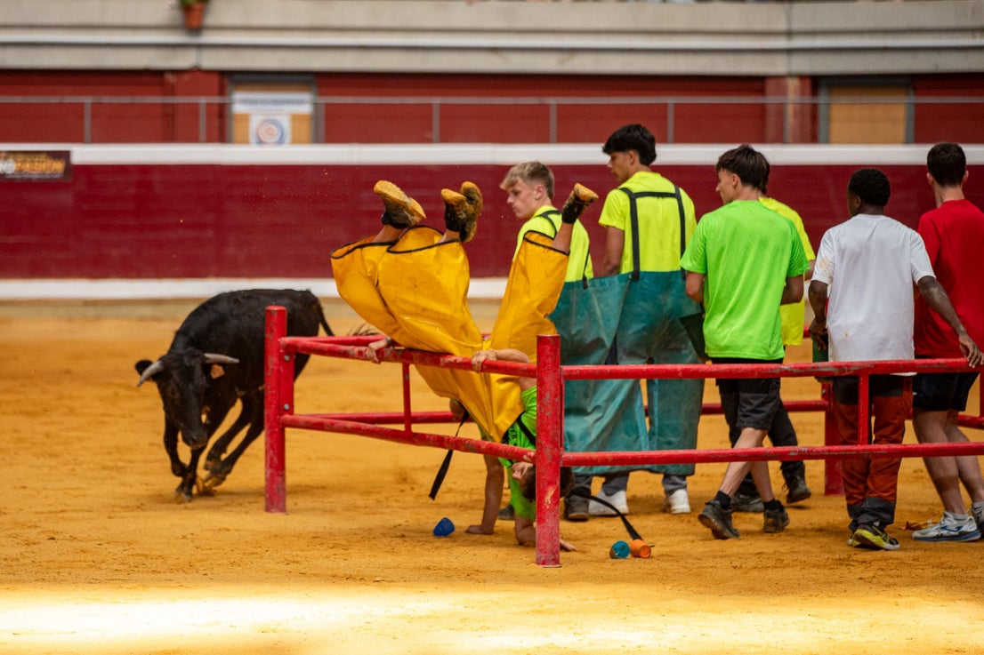 Caídas, revolcones y muchas risas durante las vaquillas