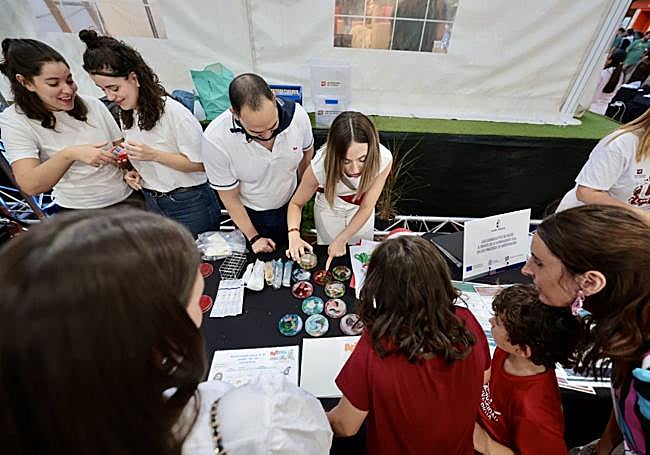Los grupos de investigación mostraron sus trabajos a los asistentes.