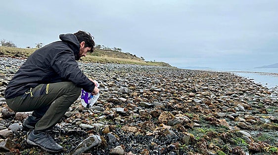 Las sociedades mesolíticas cantábricas no vivían de manera aislada junto al mar, aprovechaban los recursos de forma integrada