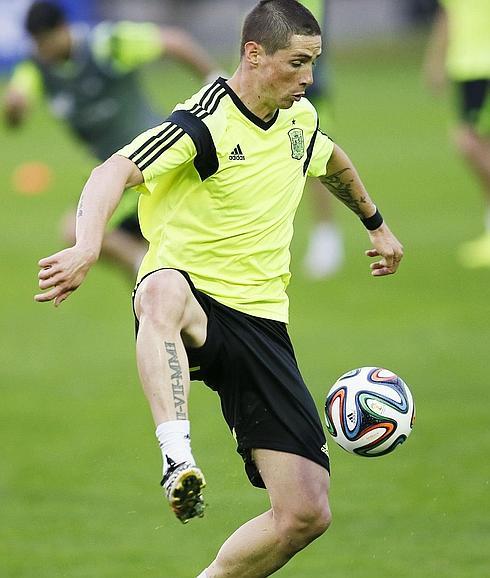 Fernando Torres. 