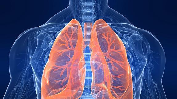 El desarrollo anormal del pulmón causa EPOC