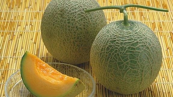 El melón Yubari King.