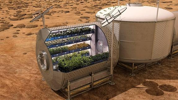 Recreación informática facilitada por la NASA que muestra el cultivo de plantas denominada Experimento Veg-01.