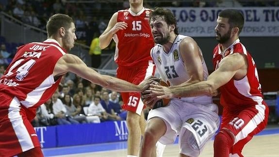 Sergio Llull, durante el partido del Real Madrid ante el Estrella Roja. 