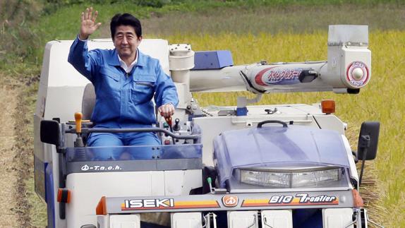 El primer ministro de Japón, conduce una cosechadora en un campo de arroz cerca de Fukushima.