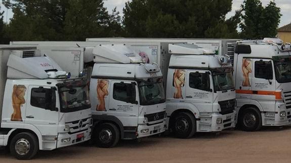 Imagen de los camiones de la empresa 'Benvent Transportes Frigoríficos'.