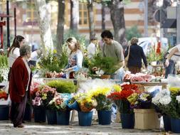 Venta de flores, en la plaza del doctor Zubía para decorar las tumbas y panteones del cementerio en el día de Todos los Santos y en el de los Difuntos./JUSTO RODRÍGUEZ
