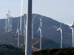 Iberdrola Renovables tiene en La Rioja el 6% de su potencia instalada en España