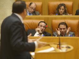 El Parlamento aprueba la UNIR, «un proyecto con garantías», según Alegre