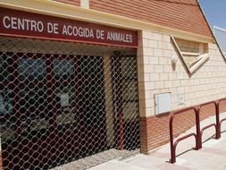 El nuevo centro de acogida de animales estará acabado a finales del 2010