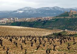 La Rioja ampía la protección de los paisajes vitivinícolas y las áreas esteparias