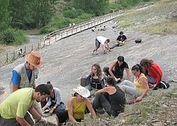 275 jóvenes de 16 a 30 años  participarán este verano en campos de trabajo
