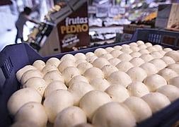 La gran alianza del champiñón