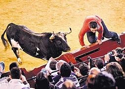 Un aficionado salta la barrera ante la acometida de ‘Ratón’ en la plaza de toros de Valencia | Damián Torres