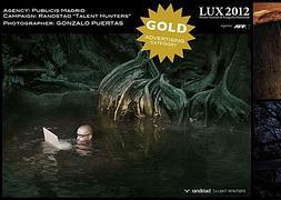 Pasión por la fotografía