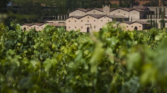 Vista exterior del núcleo central de la bodega desde los viñedos. 