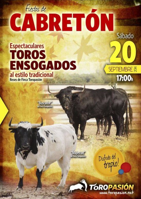 Cabretón festeja hoy  la tradicional suelta de dos toros ensogados