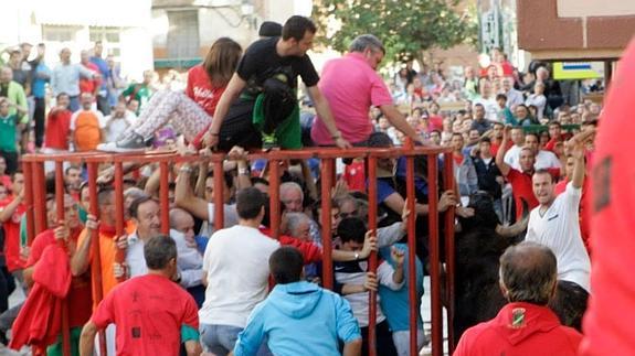 Hospitalizado un mozo tras recibir cuatro pinchazos en el toro ensogado de Rincón de Soto