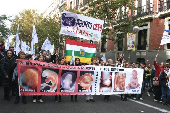 Riojanos en la manifestación en favor de la vida de Madrid. 