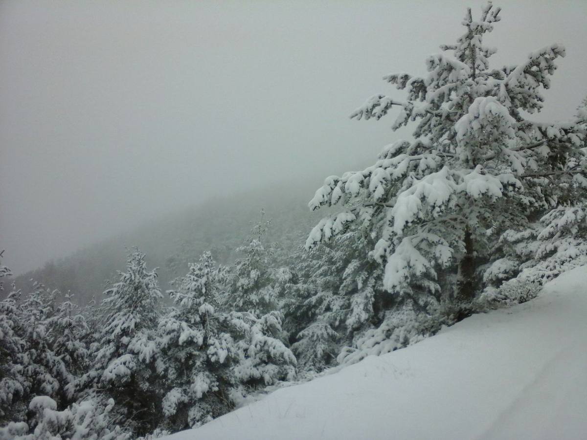 Y llega la nieve