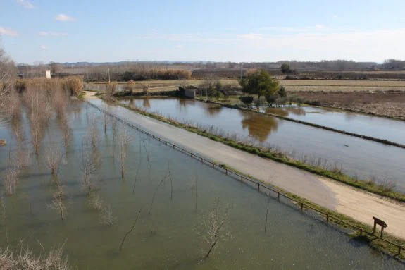 Imagen de las inundaciones del pasado mes de marzo en Alfaro como consecuencia de la crecida del Ebro. :: l.r.