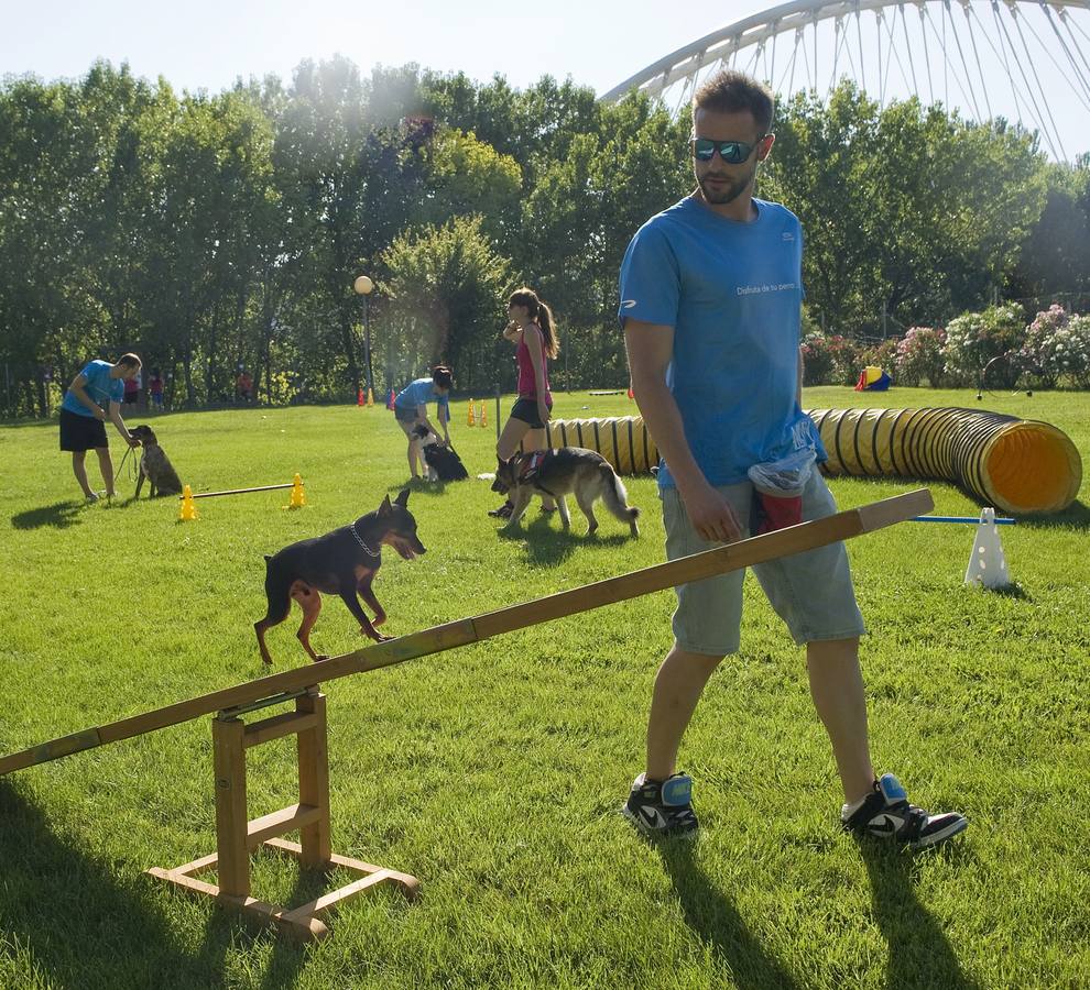 Multipropuesta deportiva en Las Norias