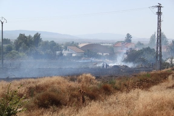 Los incendios se cebaron con los solares en el verano del 2013. :: e.p.