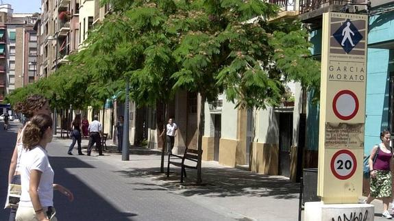 La calle peatonal de García Morato, una de las que cambiará de nombre.
