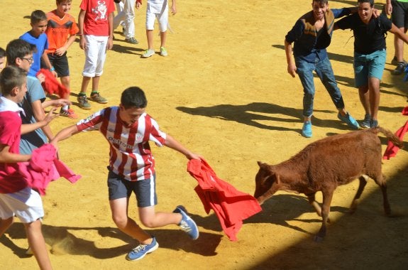 Un chaval, toreando a una de las becerras de ayer. :: i.á.