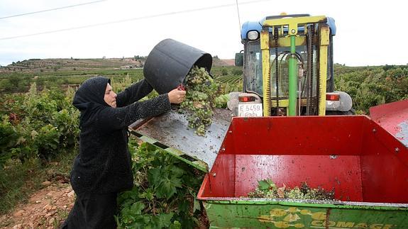 Inspección de Trabajo refuerza con 4 equipos la campaña de temporeros
