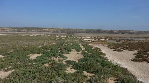 VIsta del carrizal de Cofín