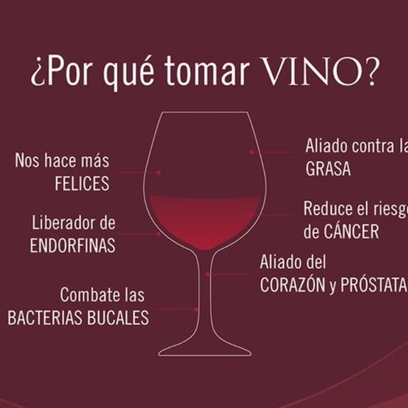 14 Motivos para beber vino (con moderación)