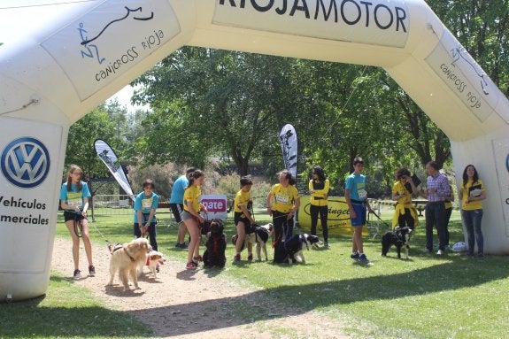 Salida de una de las pruebas del canicross en el parque del Cidacos de Calahorra. :: m.f.