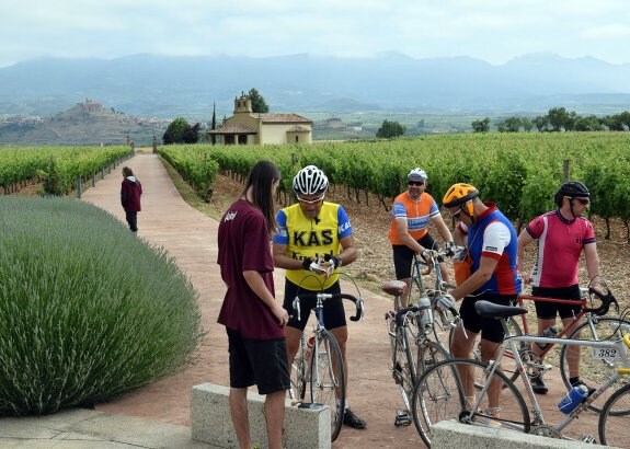 Un grupo de ciclista se avitualla en Briones. :: miguel herreros