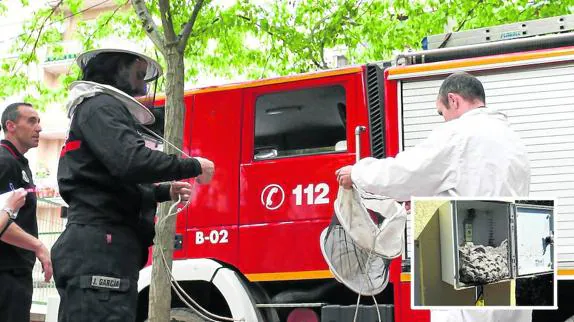 Los bomberos se equipan para manipular los enjambres. 