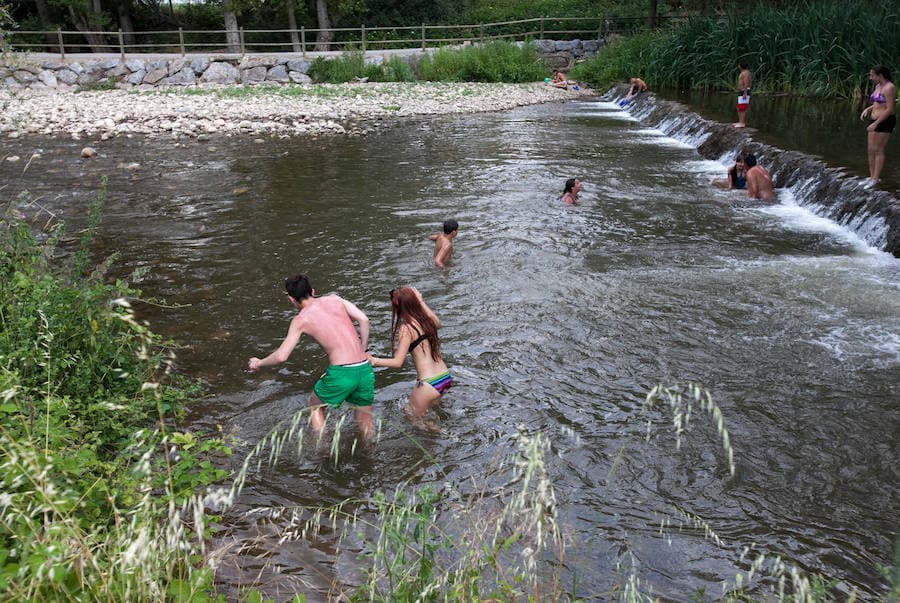 Muchos jóvenes se dieron cita en el Iregua para darse un baño. 