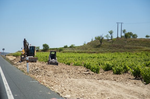 Movimiento de tierras en las viñas que dan a la carretera. A. ARAGÓN
