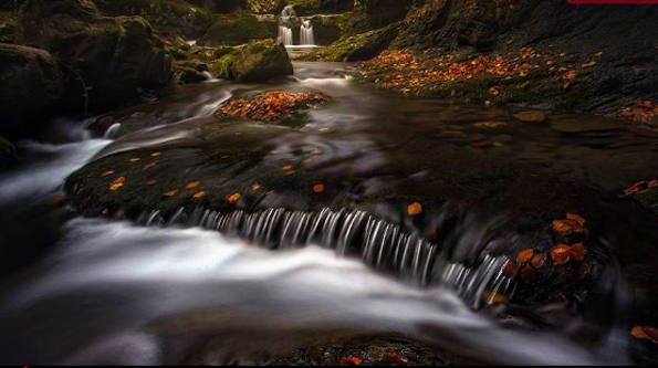 'Momentos mágicos', imagen ganadora de la última edición fotográfica. 