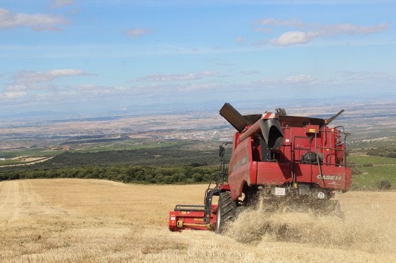 Los agricultores terminan hablando de la Bolsa mientras cosechan sus terrenos. :: m.f.