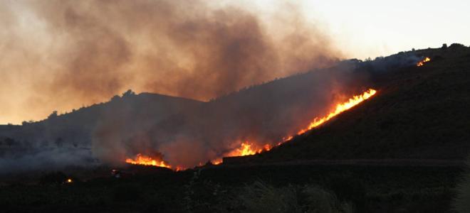 Controlado el incendio forestal que quemó 40 hectáreas en Ausejo