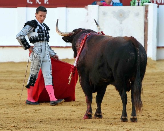 «En la luna llena de agosto en Málaga, Urdiales el toro y Picasso son uno»