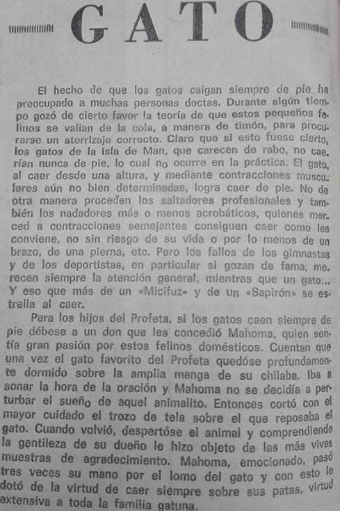 ¿Por qué los gatos siempre caen de pie?