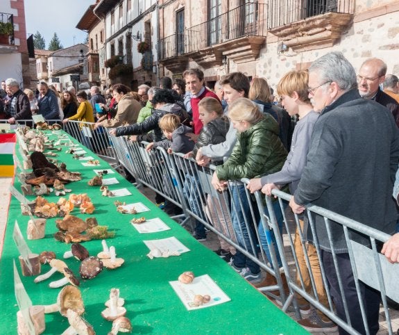 La exposición micológica tendrá lugar el 6 de noviembre. :: 